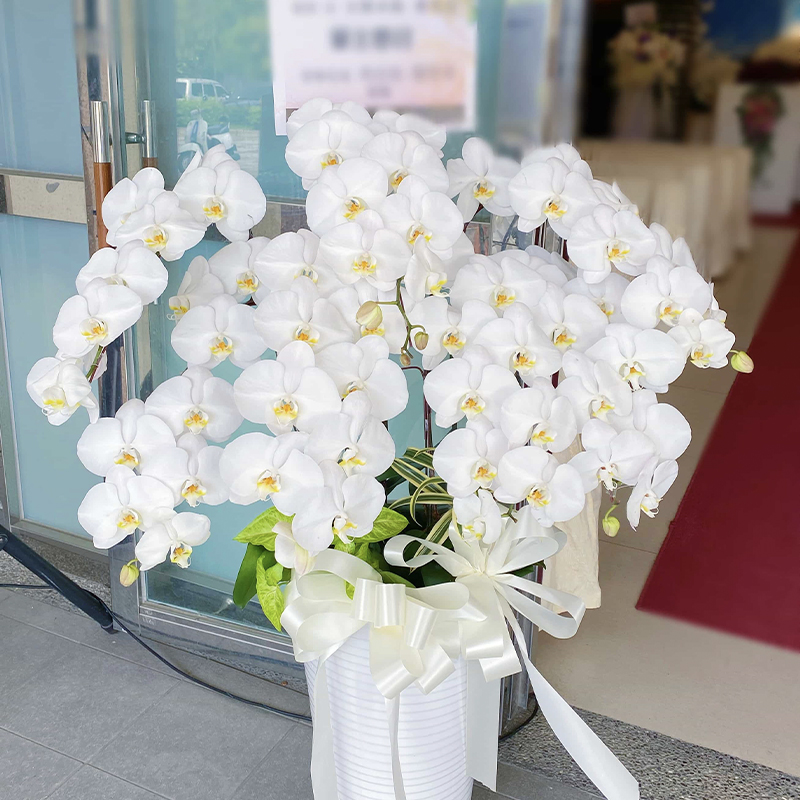 愛維花苑｜ IVY FLORAL