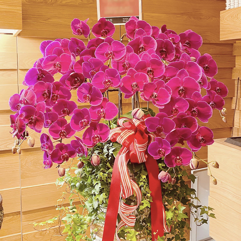 愛維花苑｜ IVY FLORAL