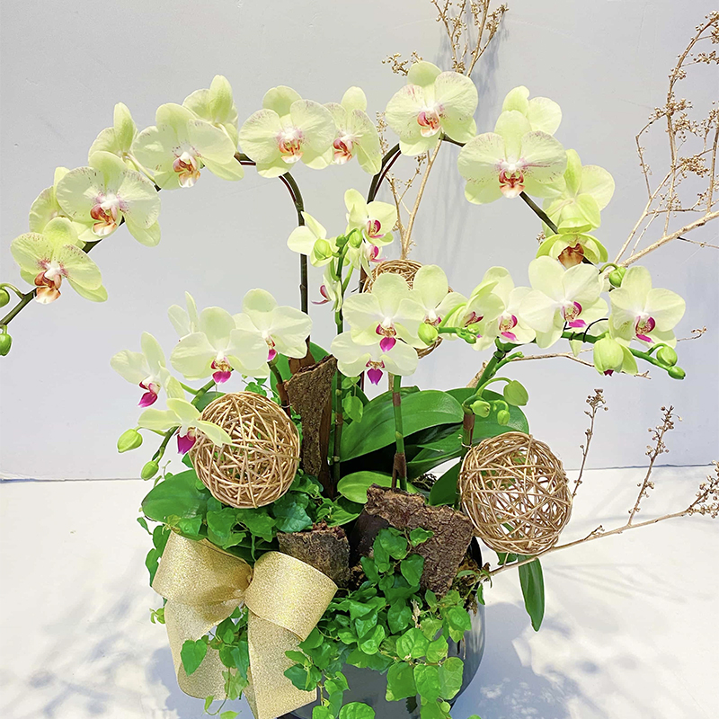 愛維花苑｜ IVY FLORAL