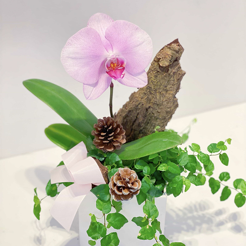 愛維花苑｜ IVY FLORAL