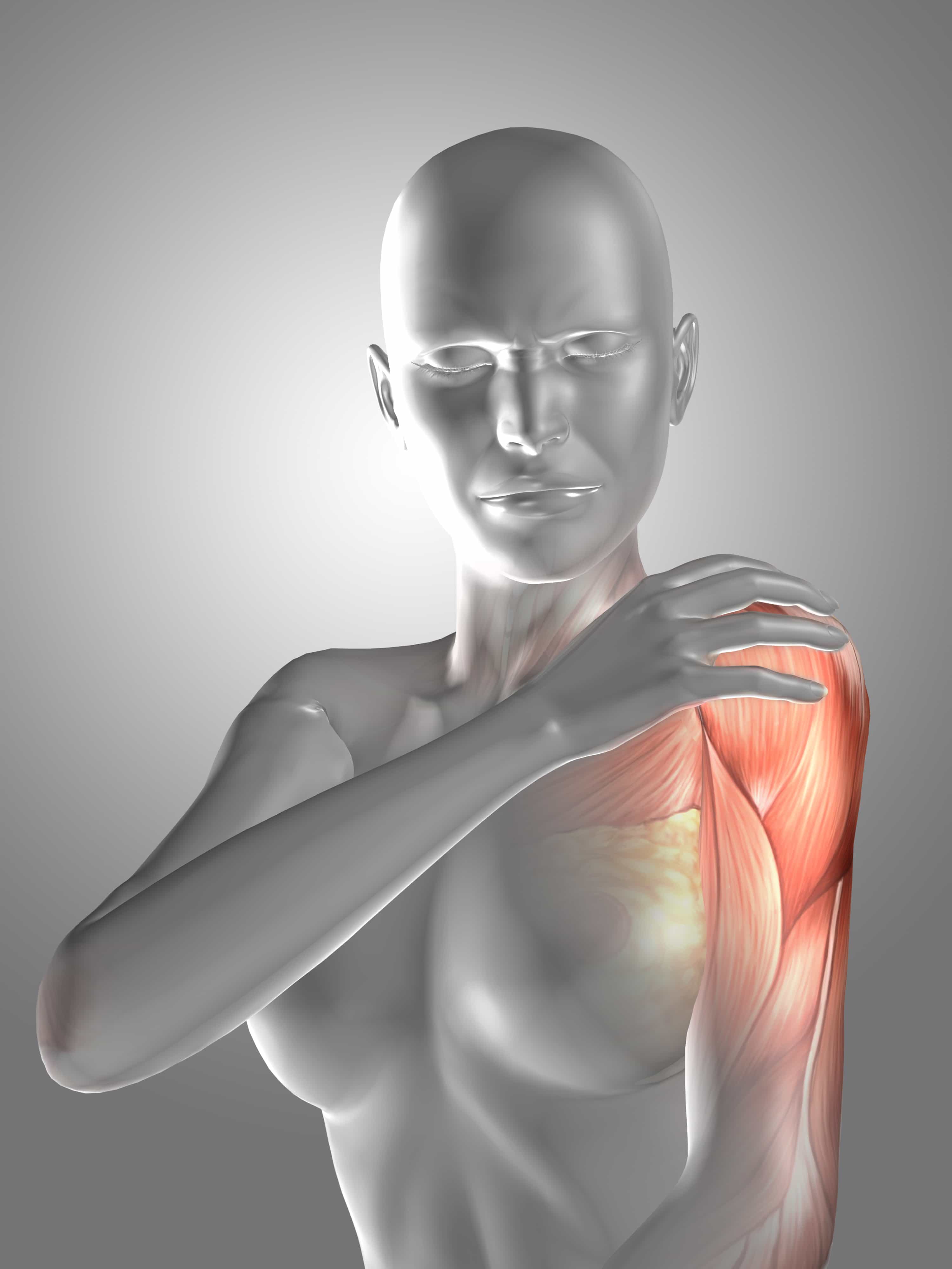 鬆自在chiropractic｜美式整體調理｜平衡身體骨架與結構