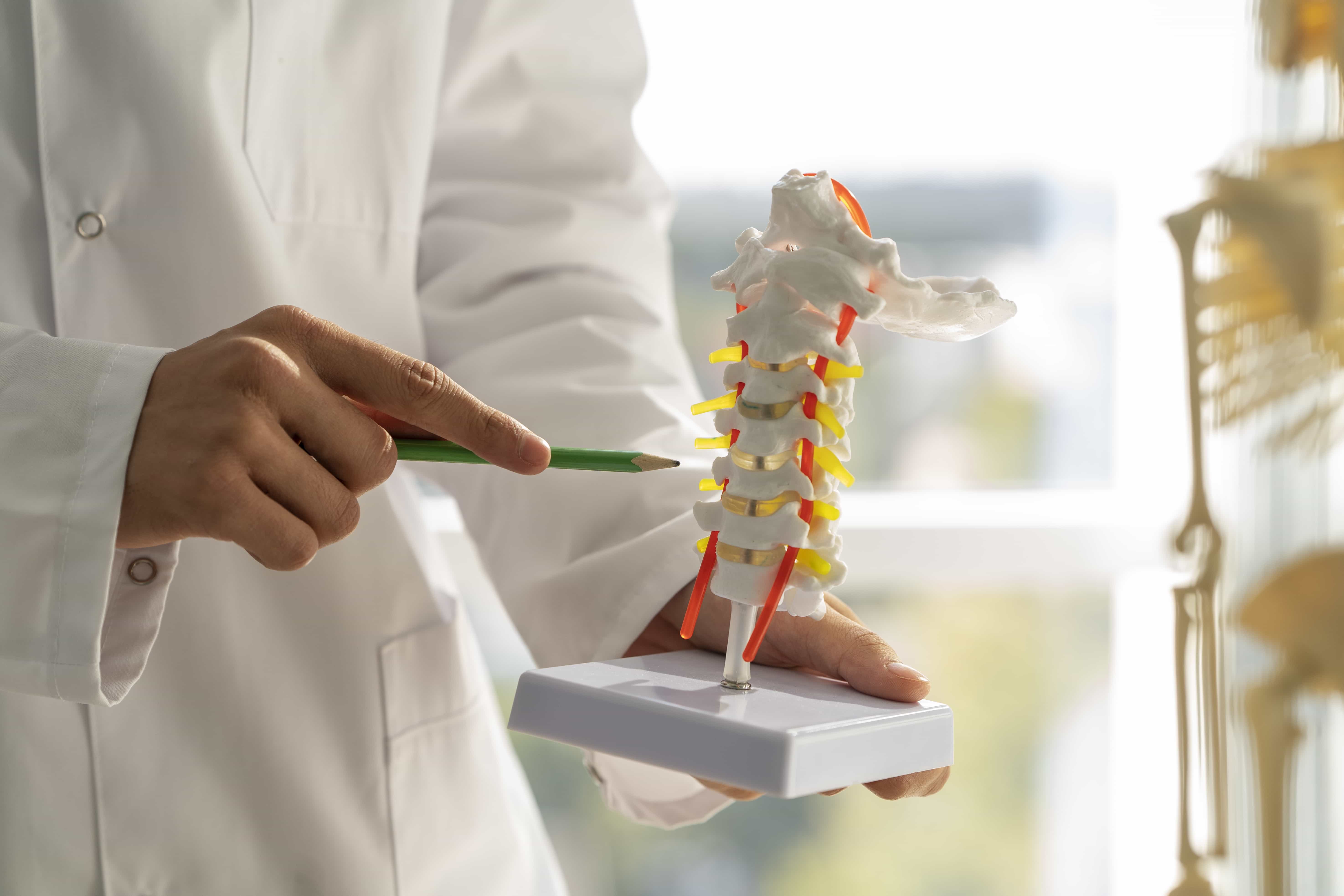 鬆自在chiropractic｜美式整體調理｜平衡身體骨架與結構