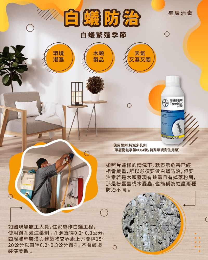 白蟻防治