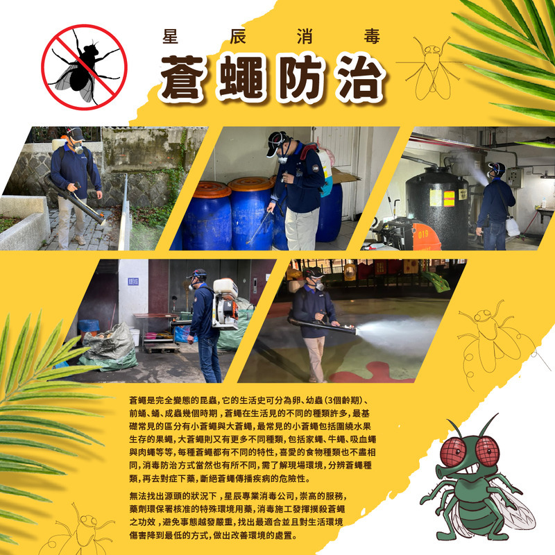 蒼蠅防治