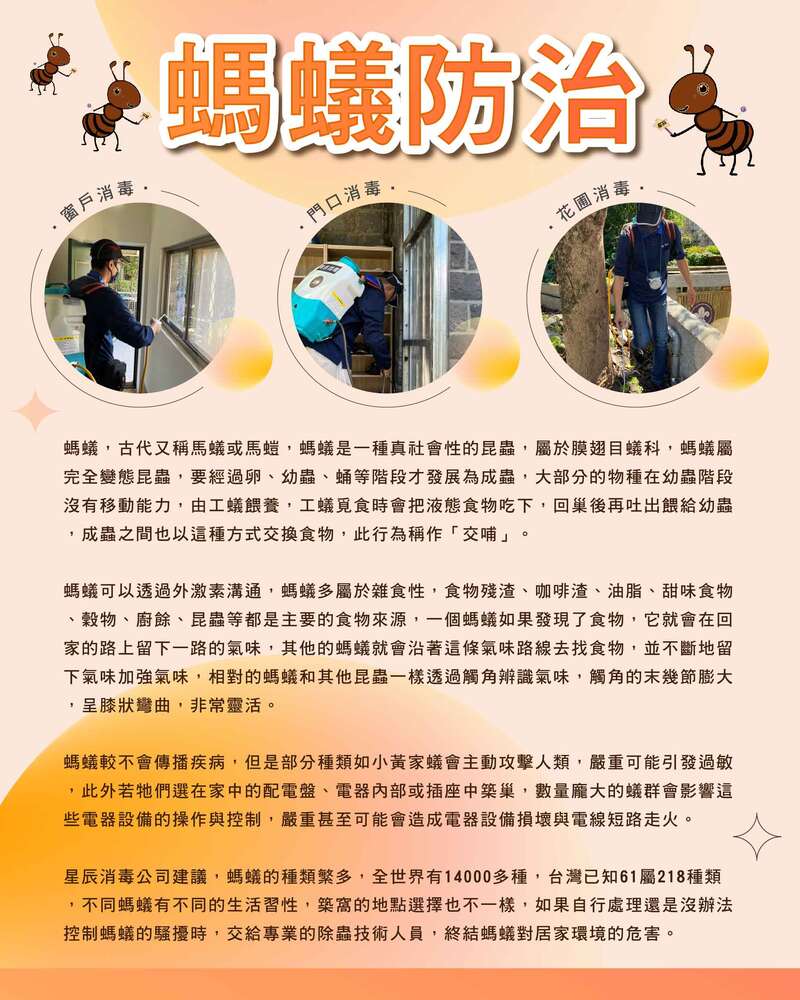 螞蟻防治