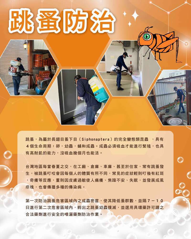 跳蚤防治