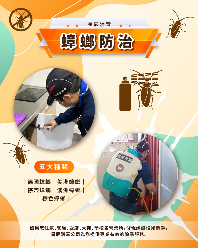 蟑螂防治