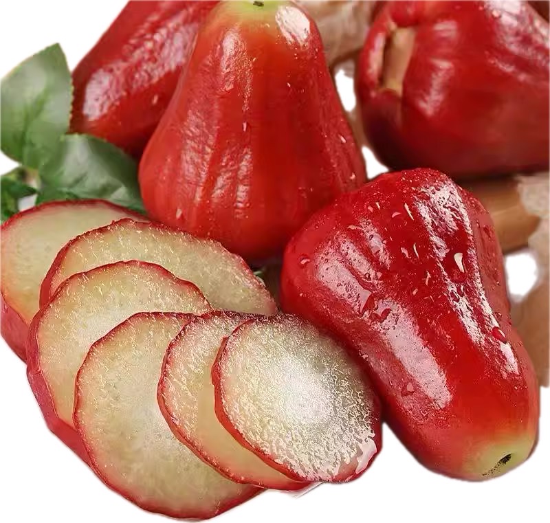 waxapple-img
